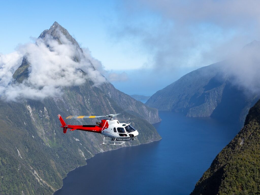 Fiordlander (Flight 302)